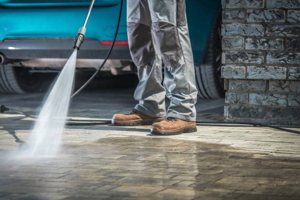 Best Winterizing Services  in Osceola, MO